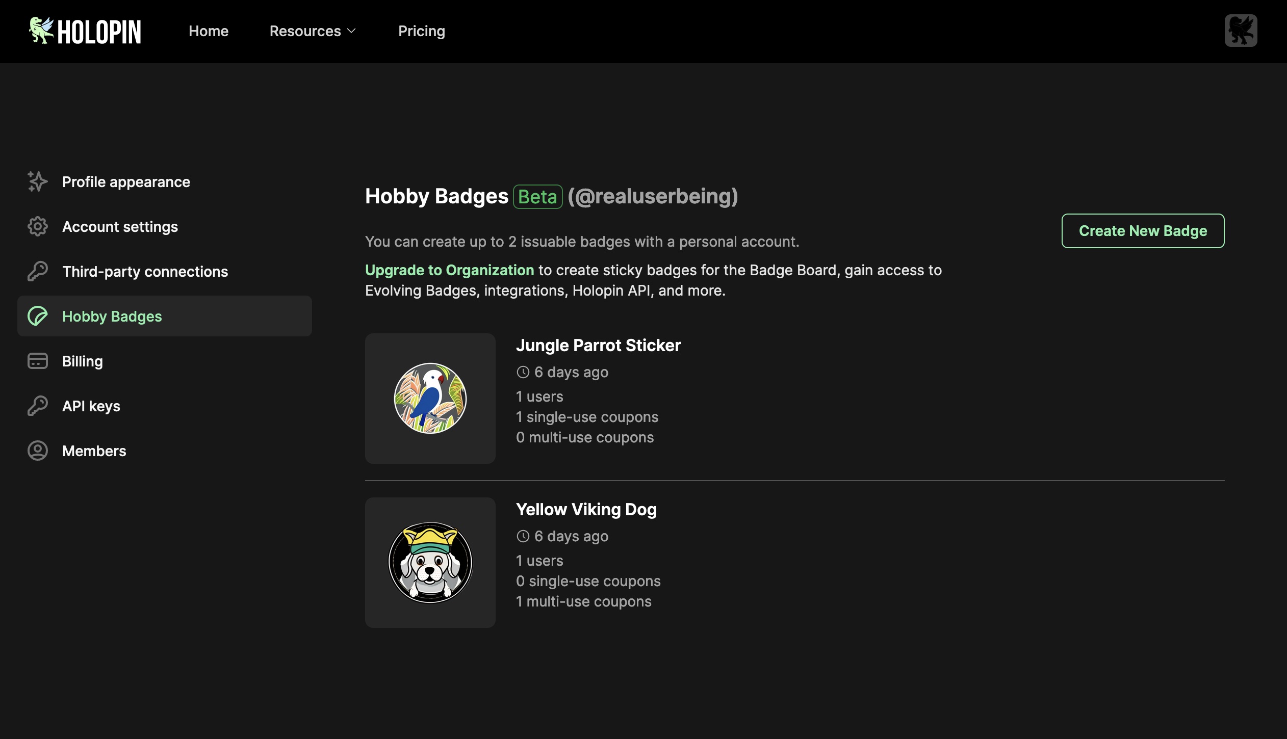 Hobby badge list in user's settings